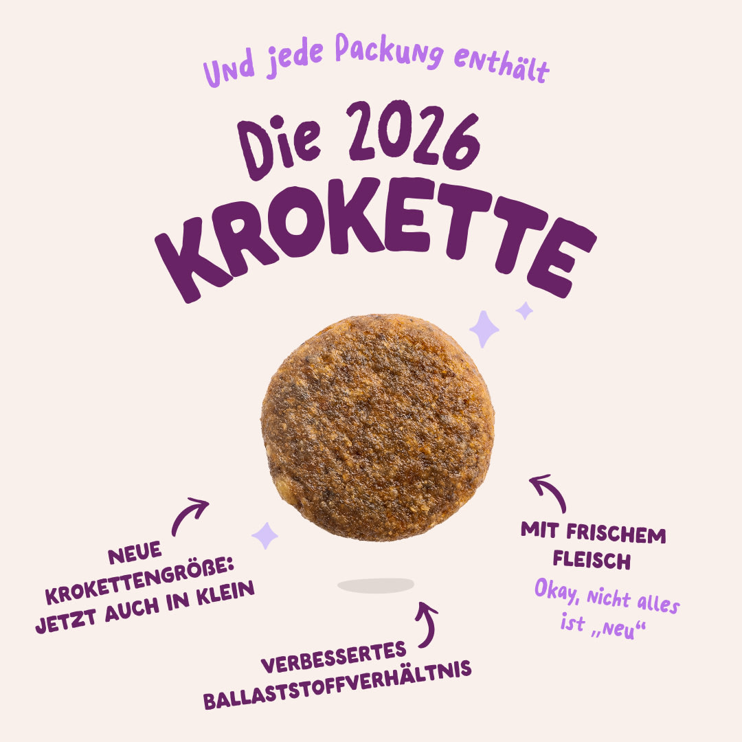 3 Dog-Refresh DTC-Assets DE Puppy-Salmonk 2026 KIBBLE