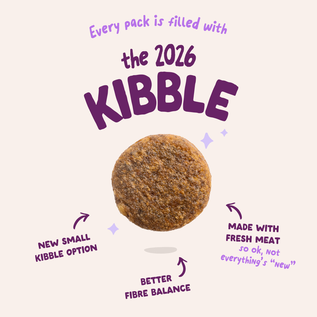 3 Dog-Refresh DTC-Assets EN Puppy-Salmon 2026 KIBBLE