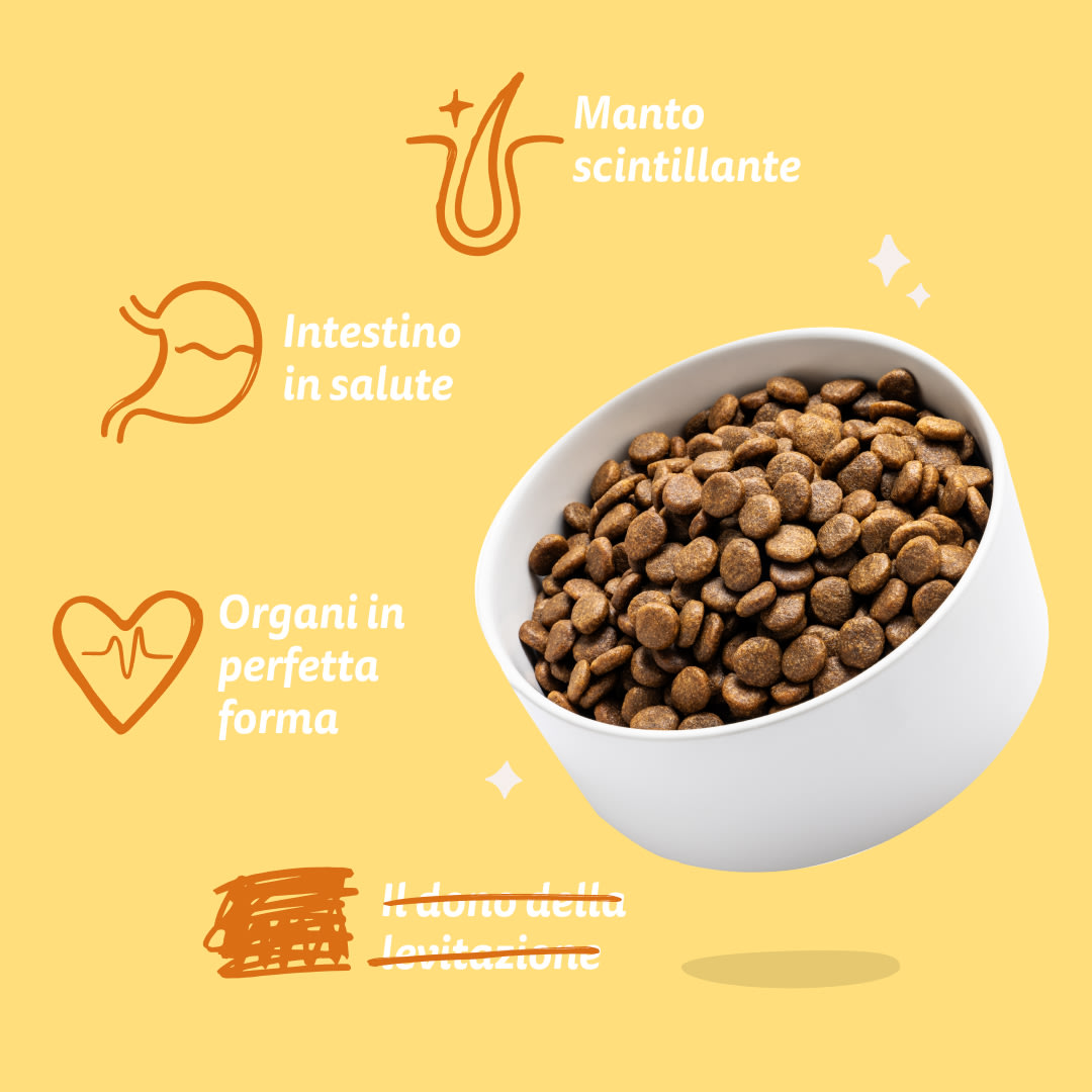 7 Dog-Refresh DTC-Assets IT Organic-Turkey BENEFITS