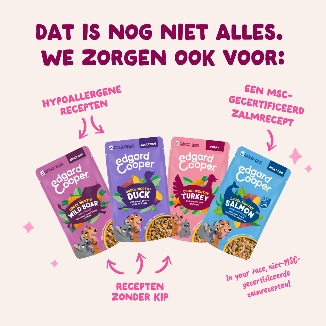 4 DWD D2C NL Multipack Recipes
