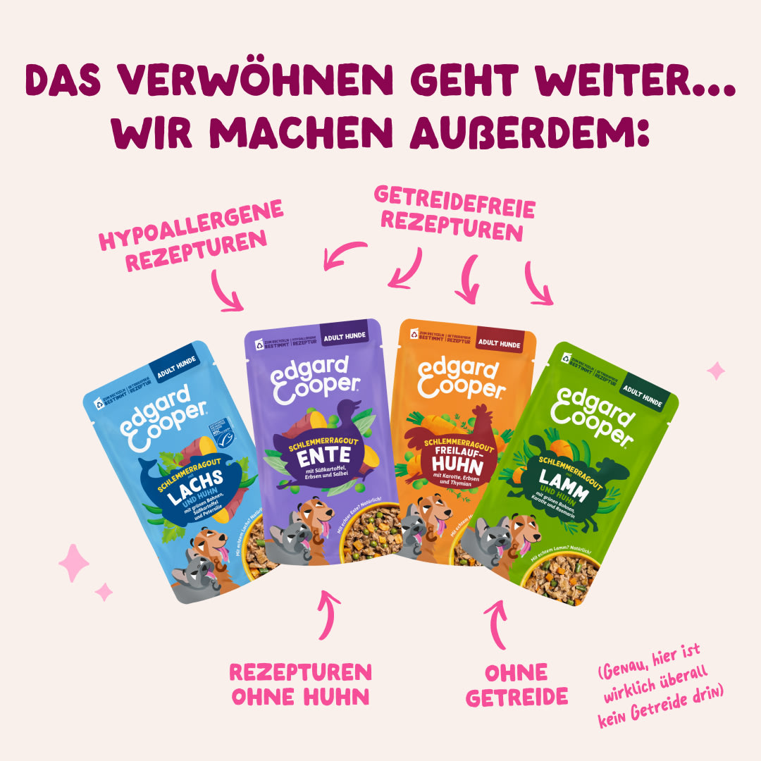 4 DWD D2C DE Multipack Recipes