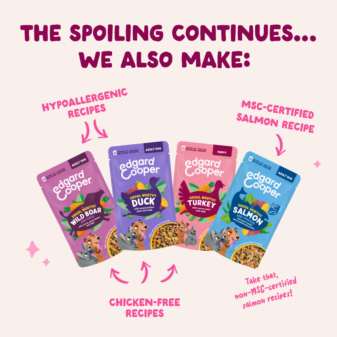 4 DWD D2C EXP Multipack Recipes