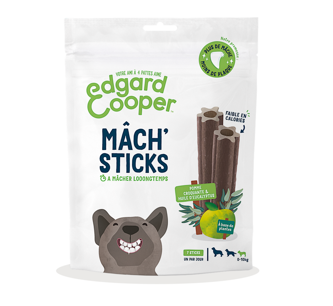 Pack - Dog Adult Dental Apple Eucalyptus Small FR