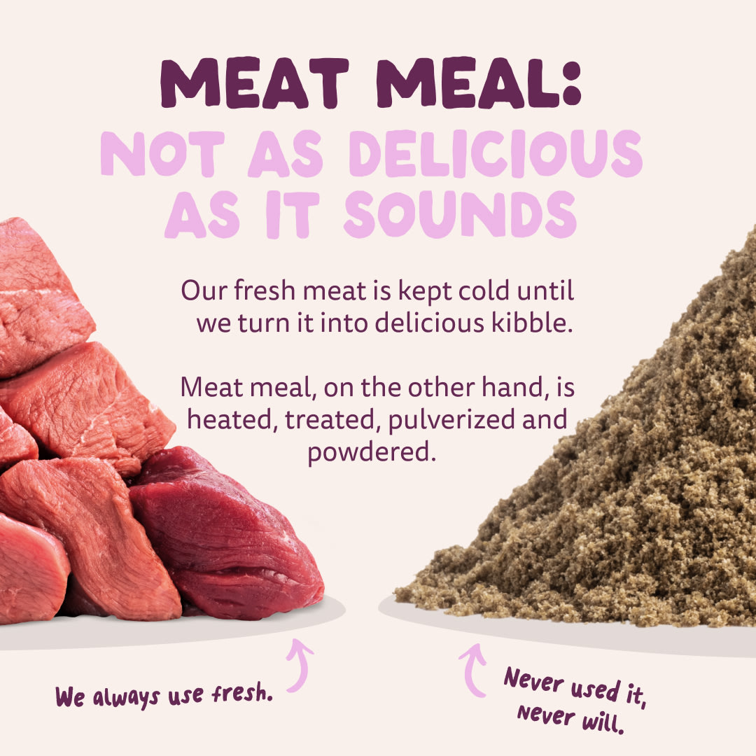 11 Dog-Refresh DTC-Assets EN Adult-Venison MEAT-VS-MEAT MEAL