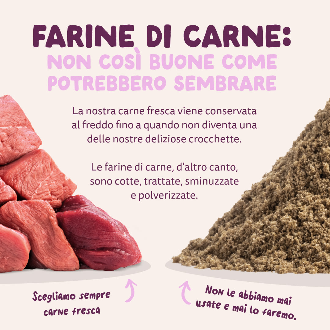 11 Dog-Refresh DTC-Assets IT Adult-Venison MEAT-VS-MEAT MEAL