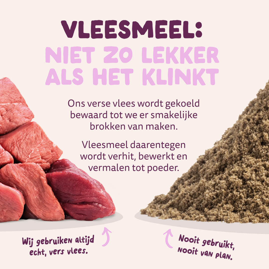 11 Dog-Refresh DTC-Assets NL Adult-Venison MEAT-VS-MEAT MEAL