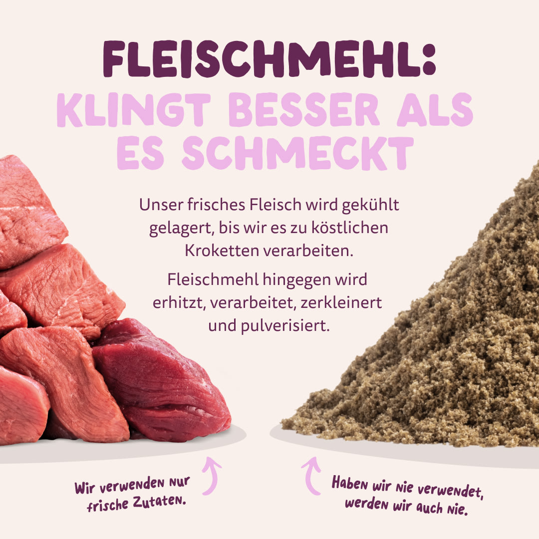 11 Dog-Refresh DTC-Assets DE Adult-Venison MEAT-VS-MEAT MEAL