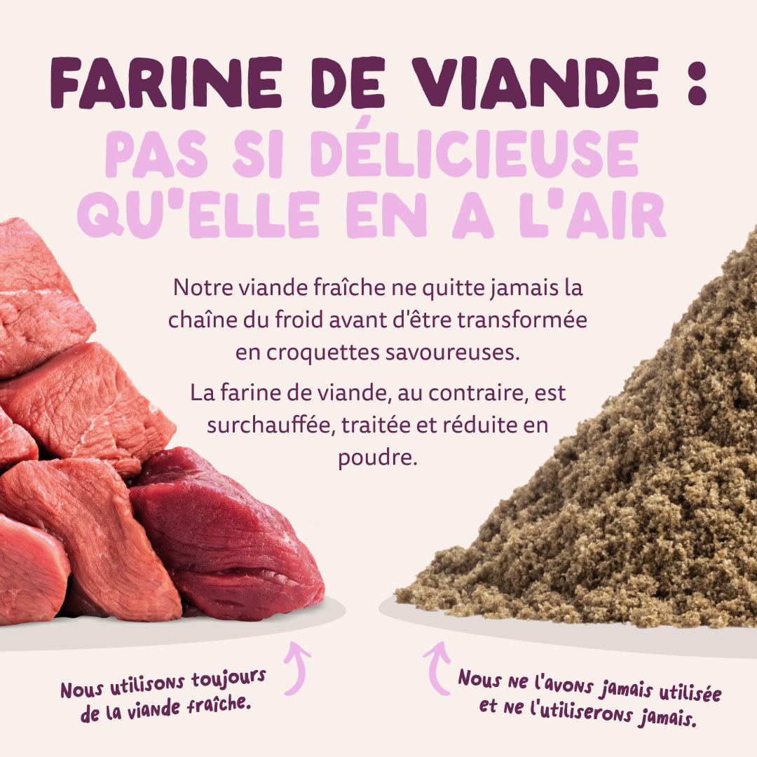 11 Dog-Refresh DTC-Assets FR Adult-Venison MEAT-VS-MEAT MEAL