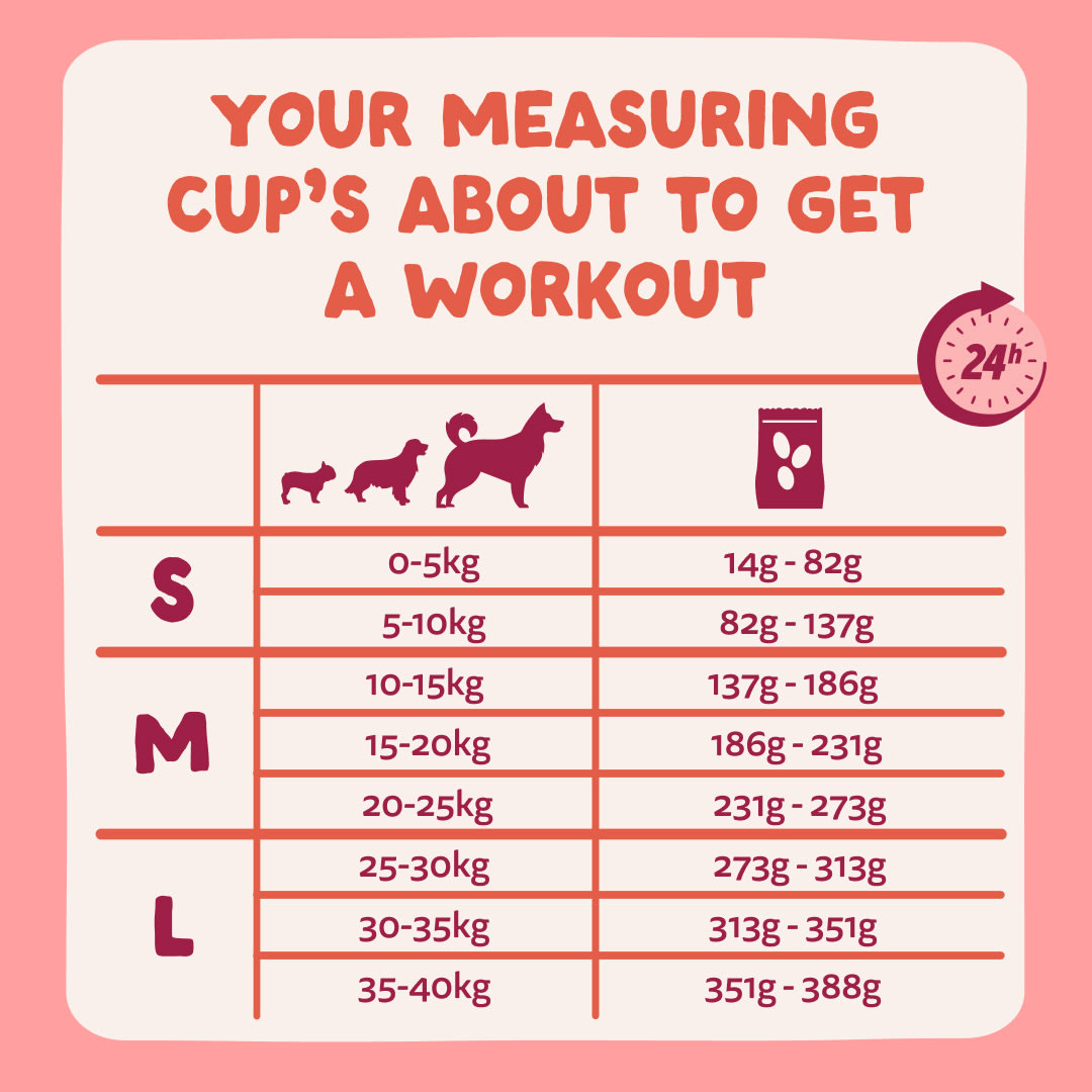 8 Dog-Refresh DTC-Assets EN Senior-Chicken FEEDING-GUIDELINE