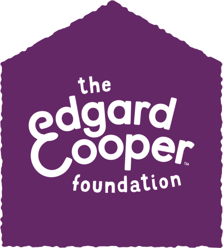 ECFoundationLogo