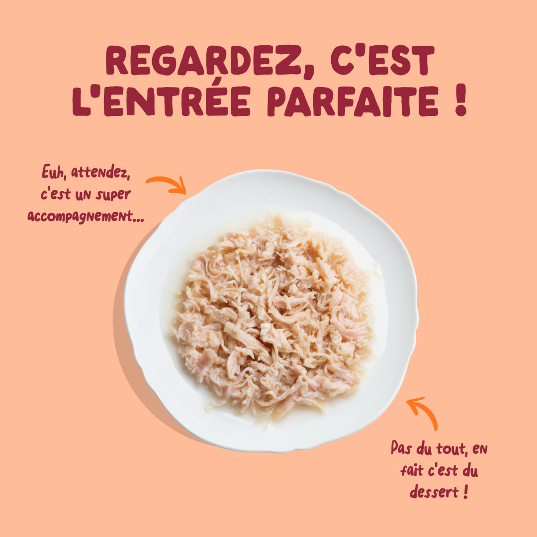 4 Cat-Fillets DTC FR ChickenNatural TopView