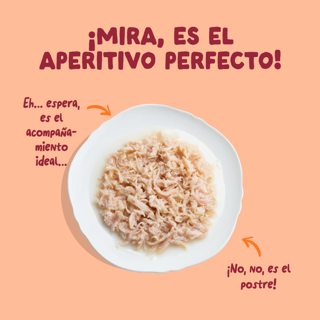 4 Cat-Fillets DTC ES ChickenNatural TopView