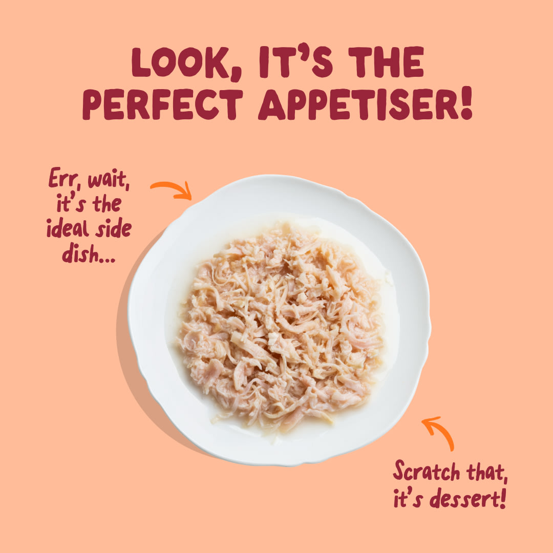 4 Cat-Fillets DTC EXP ChickenNatural TopView