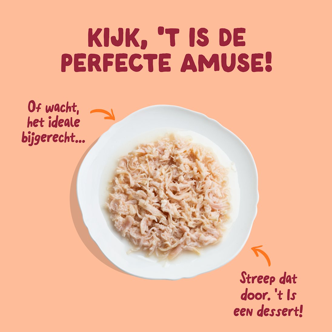 4 Cat-Fillets DTC NL ChickenNatural TopView
