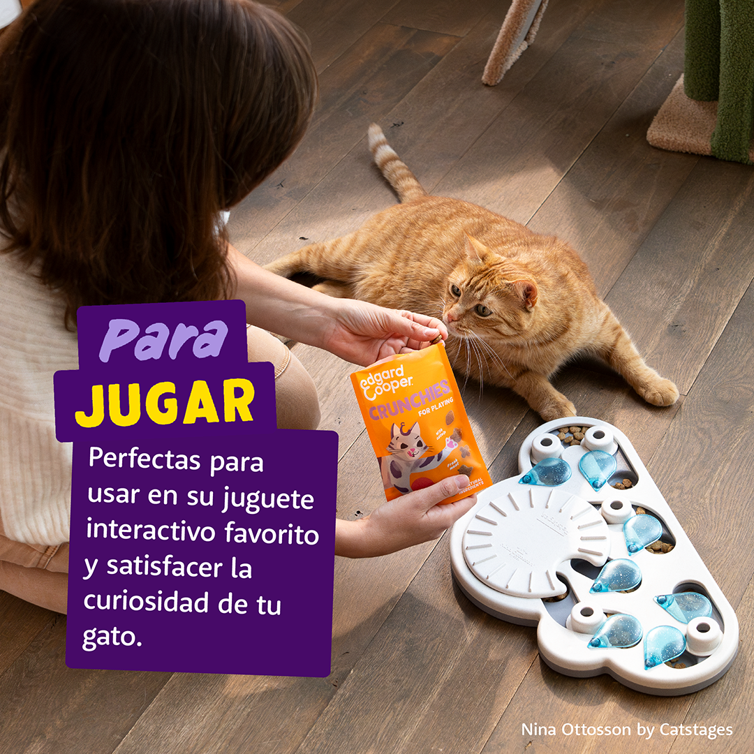 Ecomm Needs - Cat All Crunchies Chicken ES