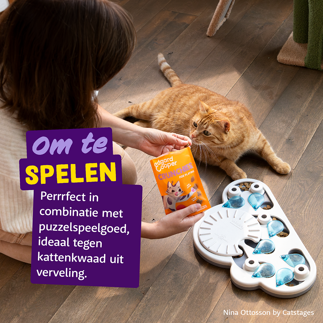 Ecomm Needs - Cat All Crunchies Chicken NL