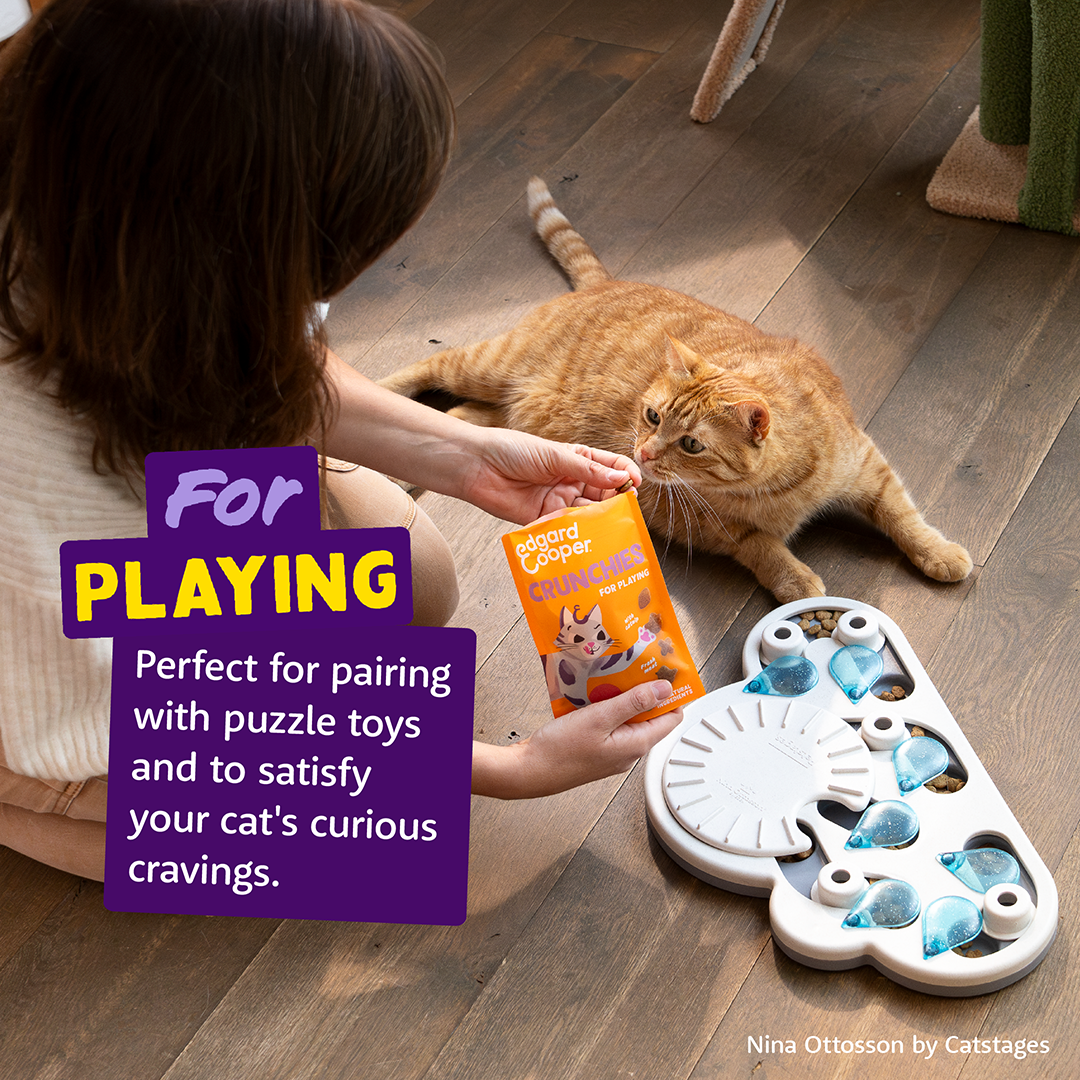 Ecomm Needs - Cat All Crunchies Chicken EN