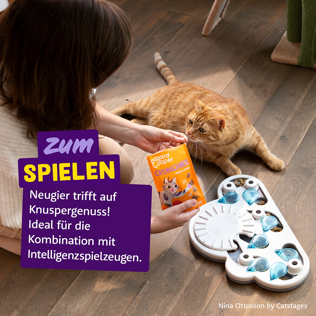Ecomm Needs - Cat All Crunchies Chicken DE