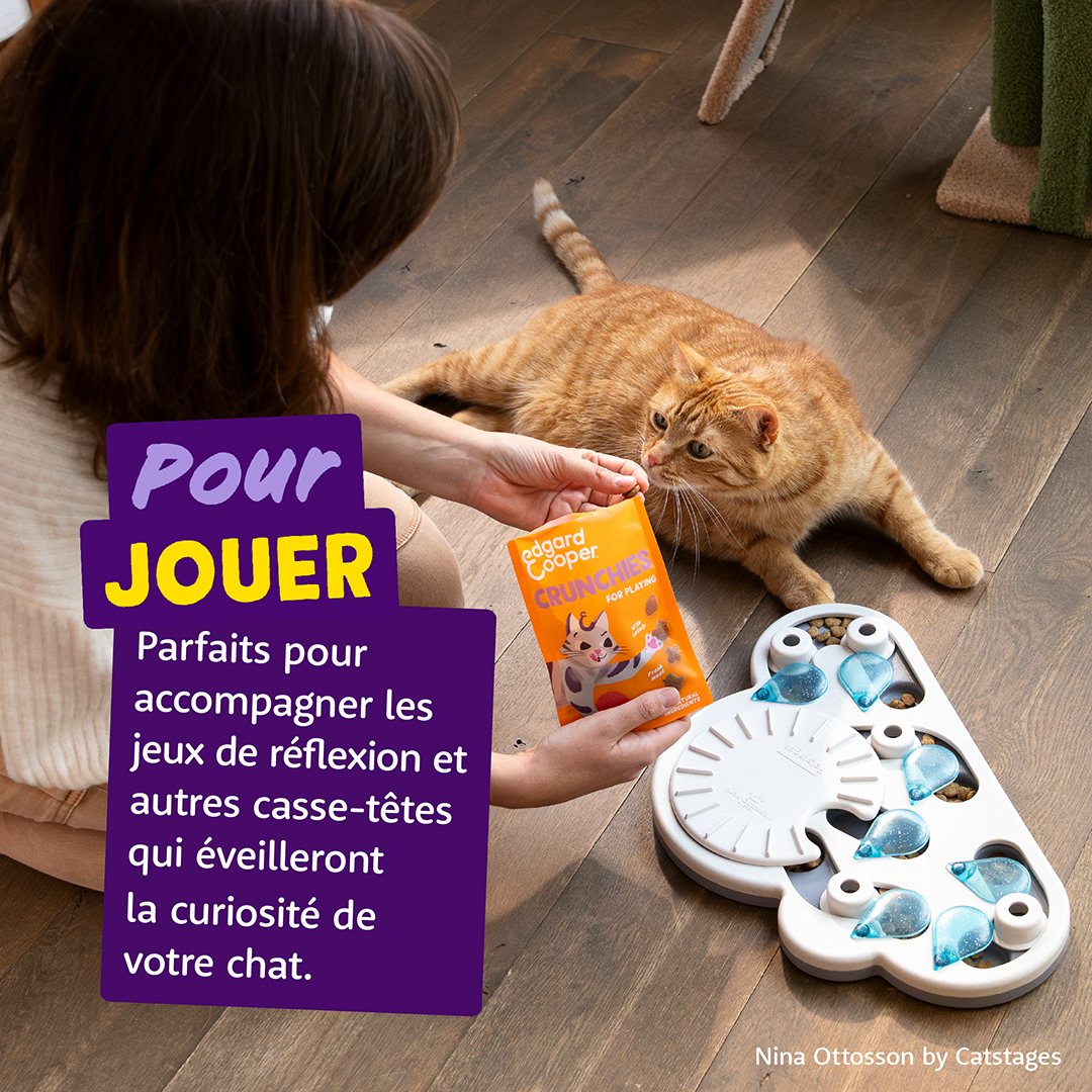 Ecomm Needs - Cat All Crunchies Chicken FR