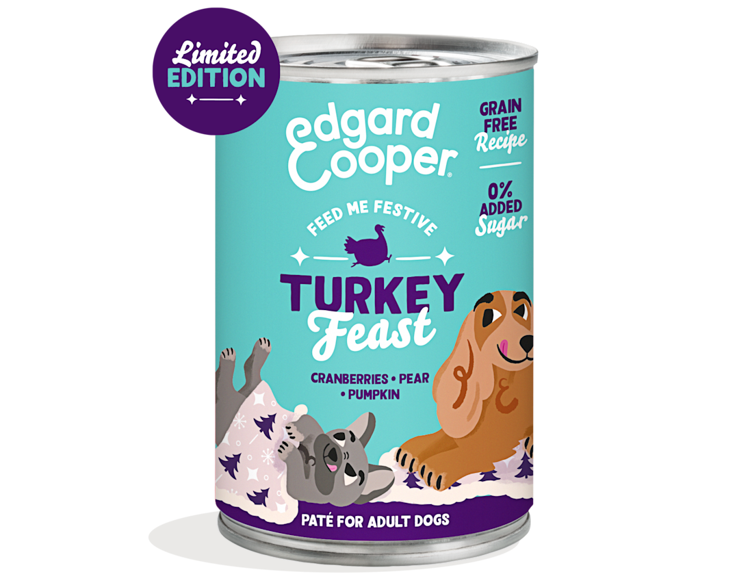 Pack - DOG_AD_PATE_TURKEY60-FESTIVE_X1