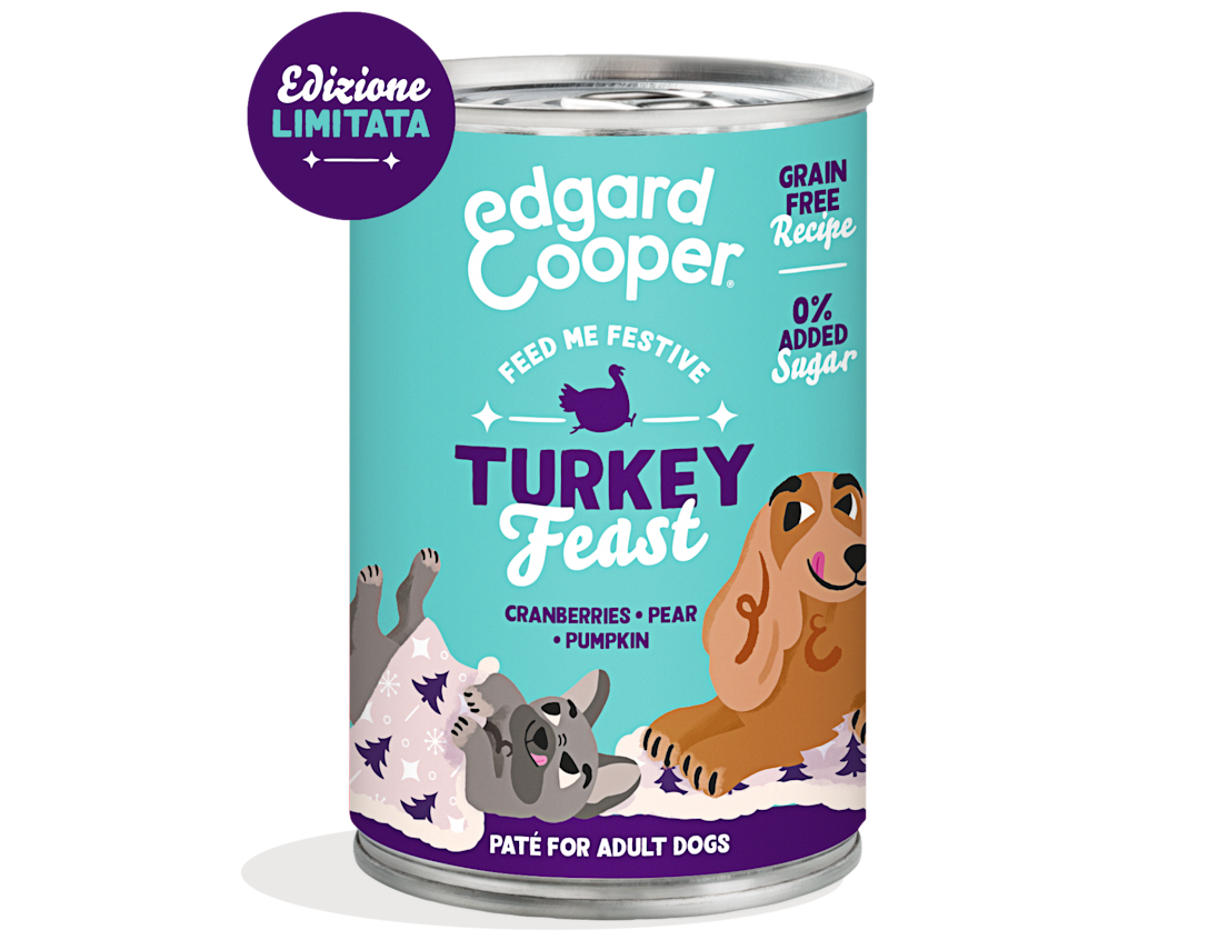 EC 2023 Dog Festive Tin 400g Export IT
