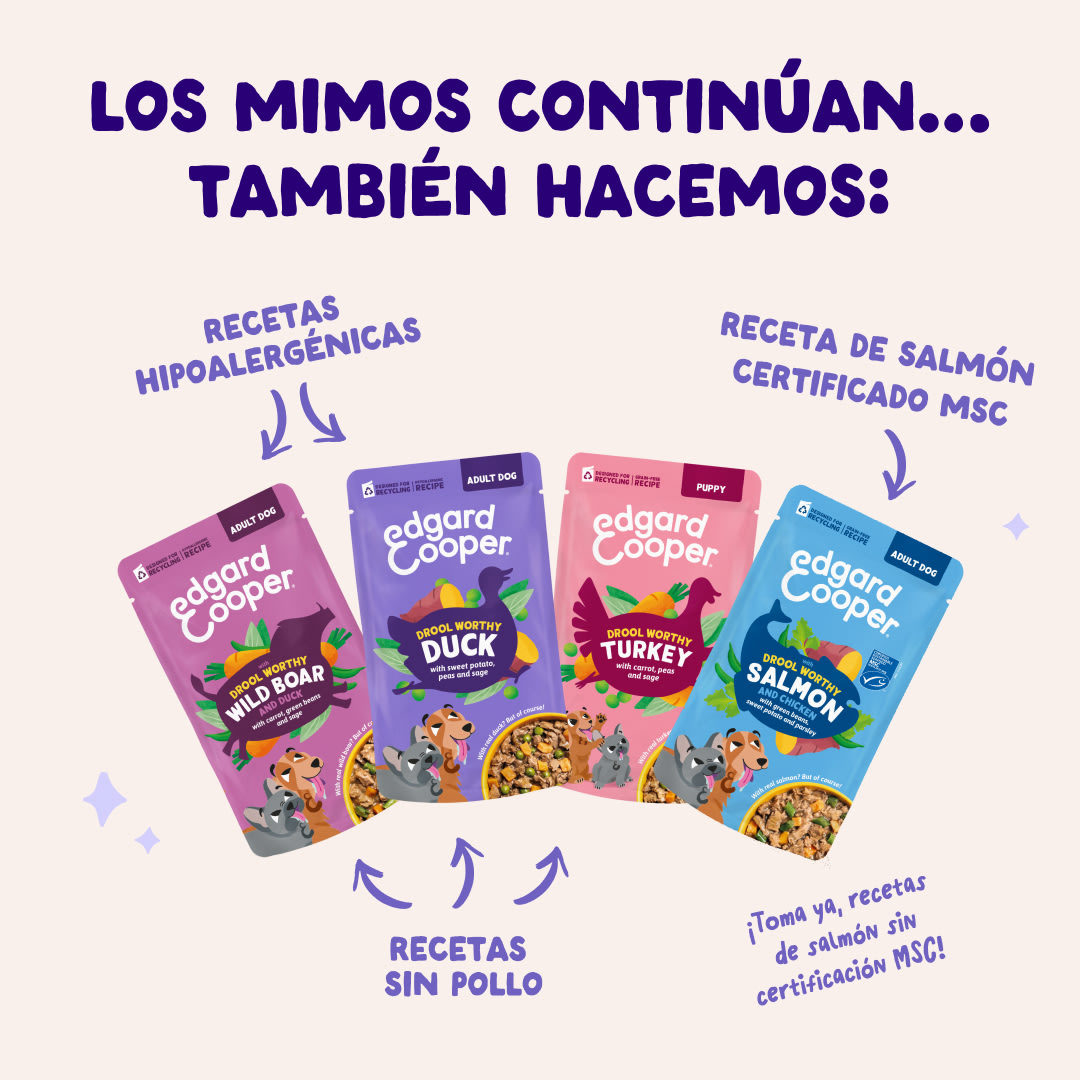 4 DWD D2C ES Duck Recipes
