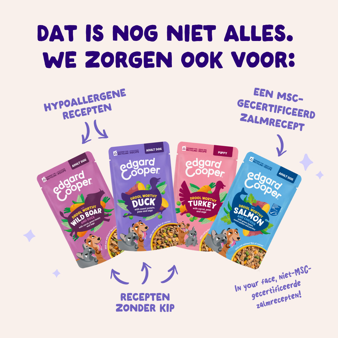 4 DWD D2C NL Duck Recipes