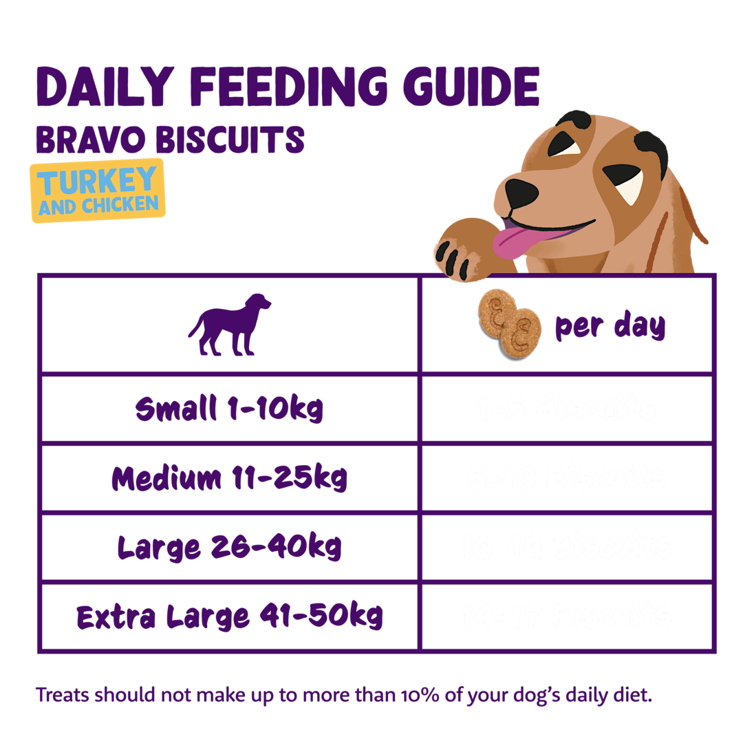 Feeding - Dog All Biscuits Turkey Chicken EN