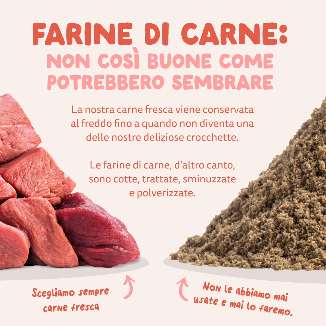 11 Dog-Refresh DTC-Assets IT Senior-Chicken MEAT-VS-MEAT MEAL
