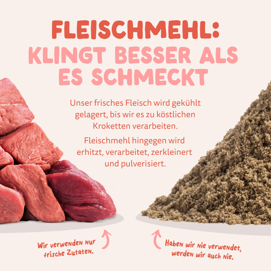11 Dog-Refresh DTC-Assets DE Senior-Chicken MEAT-VS-MEAT MEAL