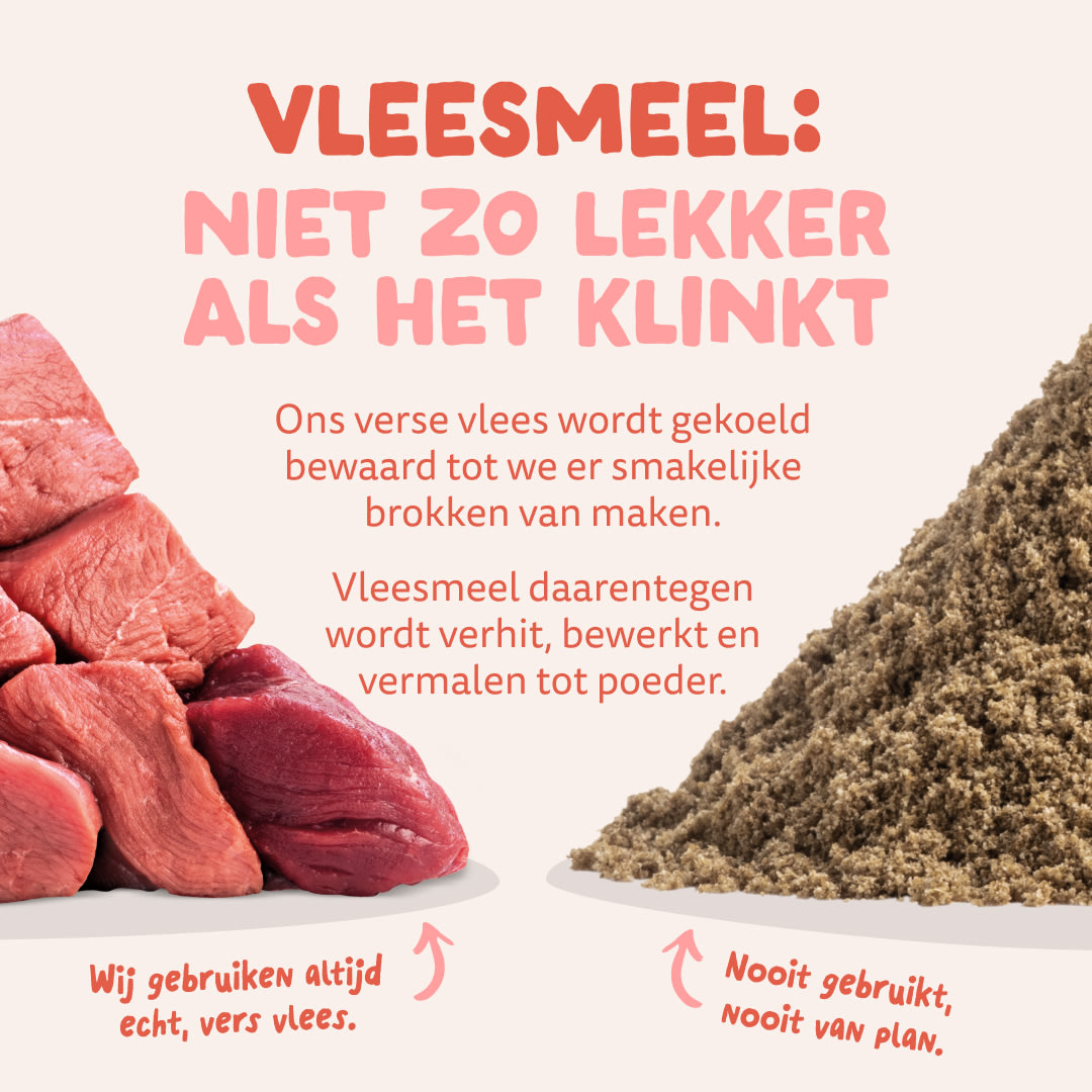 11 Dog-Refresh DTC-Assets DE NL Senior-Chicken MEAT-VS-MEAT MEAL