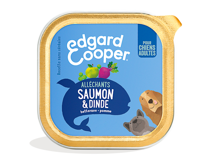 Pack - Dog Adult Paté Salmon Turkey FR