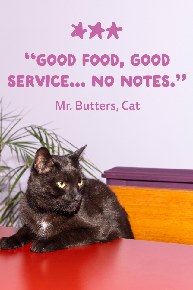 Review Mr. Butters, Cat