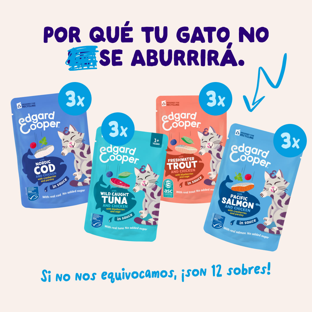 2 Chunks-Pouches DTC ES FishMP BOP