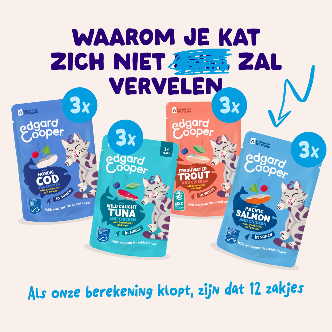 2 Chunks-Pouches DTC NL FishMP BOP