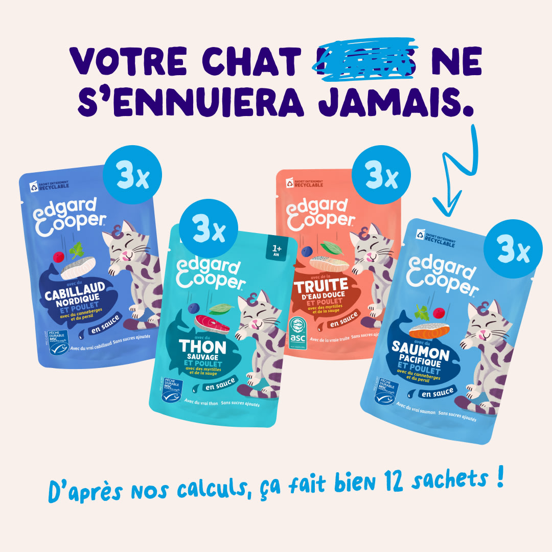 2 Chunks-Pouches DTC FR FishMP BOP