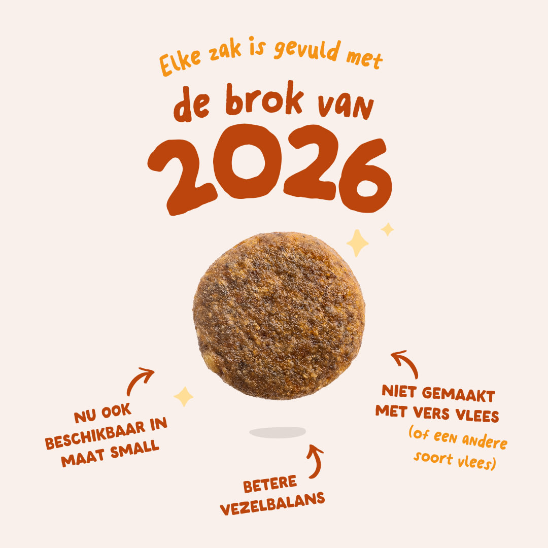 3 Dog-Refresh DTC-Assets NL Adult-Carrot 2026 KIBBLE