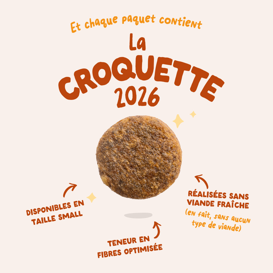 3 Dog-Refresh DTC-Assets FR Adult-Carrot 2026 KIBBLE