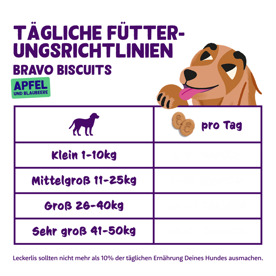 Feeding - Dog All Biscuits Apple Blueberry DE