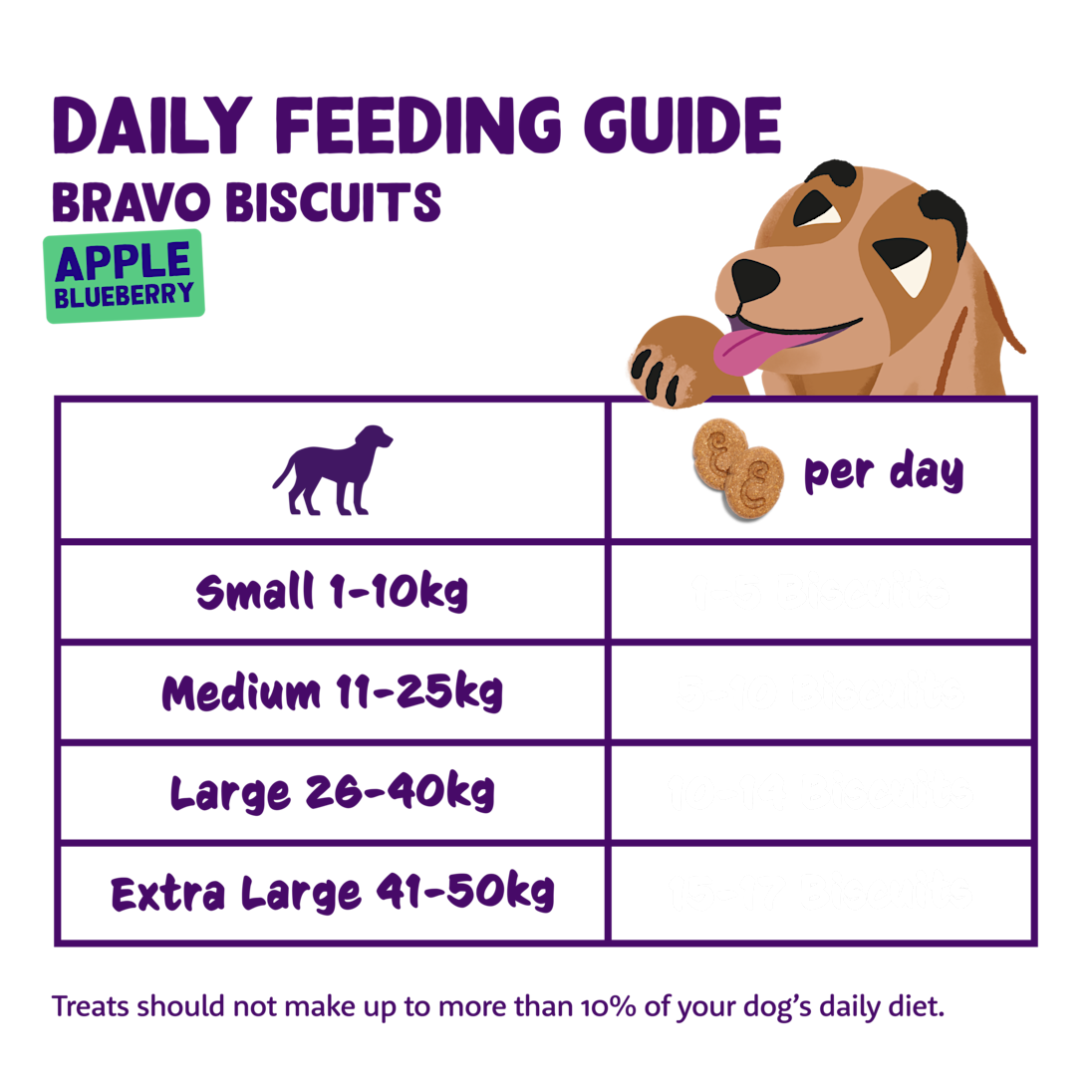 Feeding - Dog All Biscuits Apple Blueberry EN
