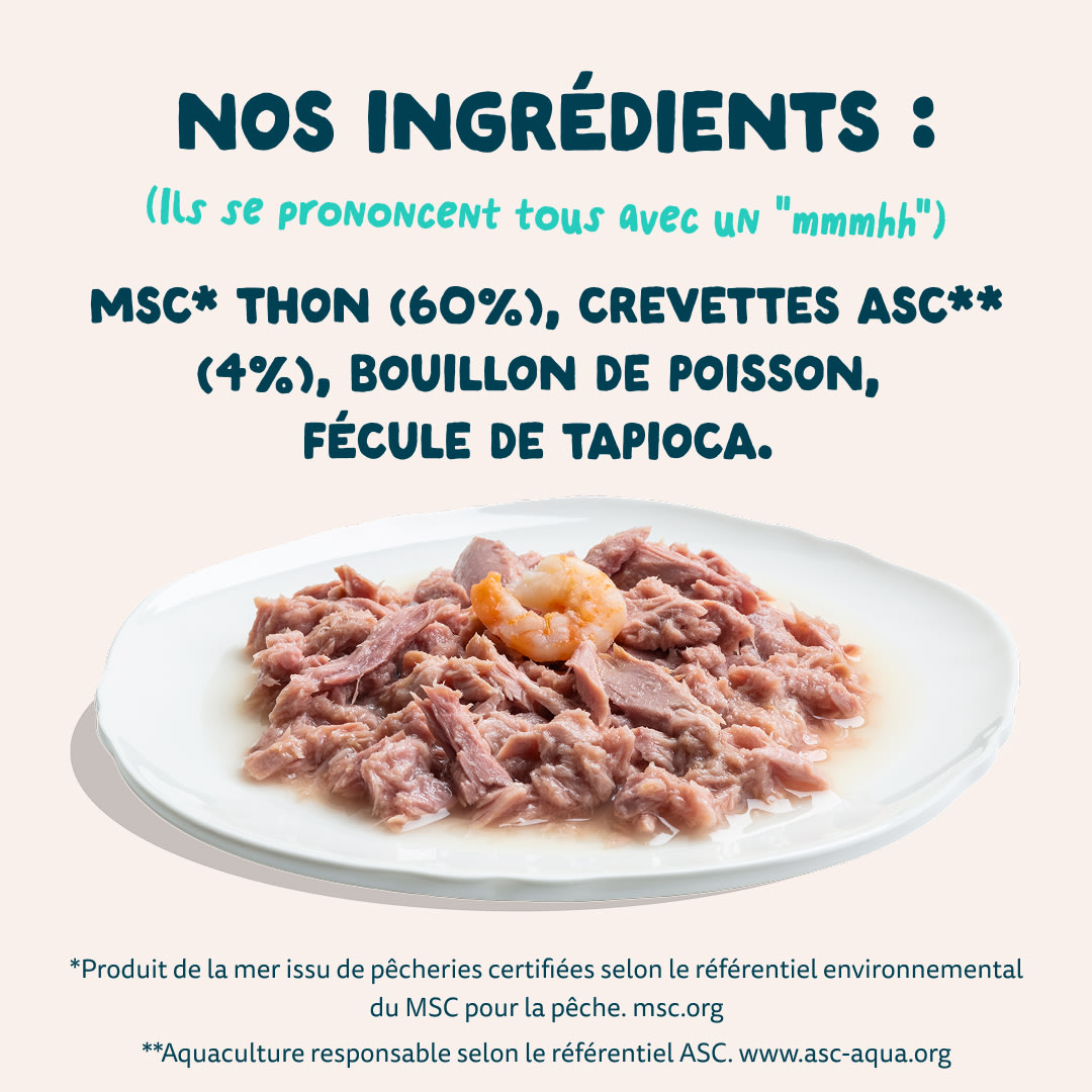 7 Cat-Fillets DTC FR TunaShrimp Ingredients