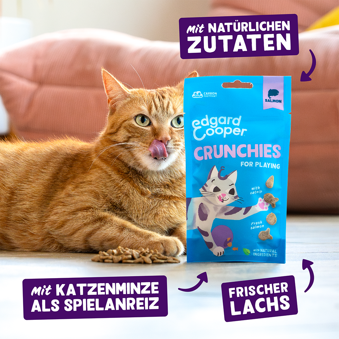 Ecomm Claims - Cat All Crunchies Salmon DE