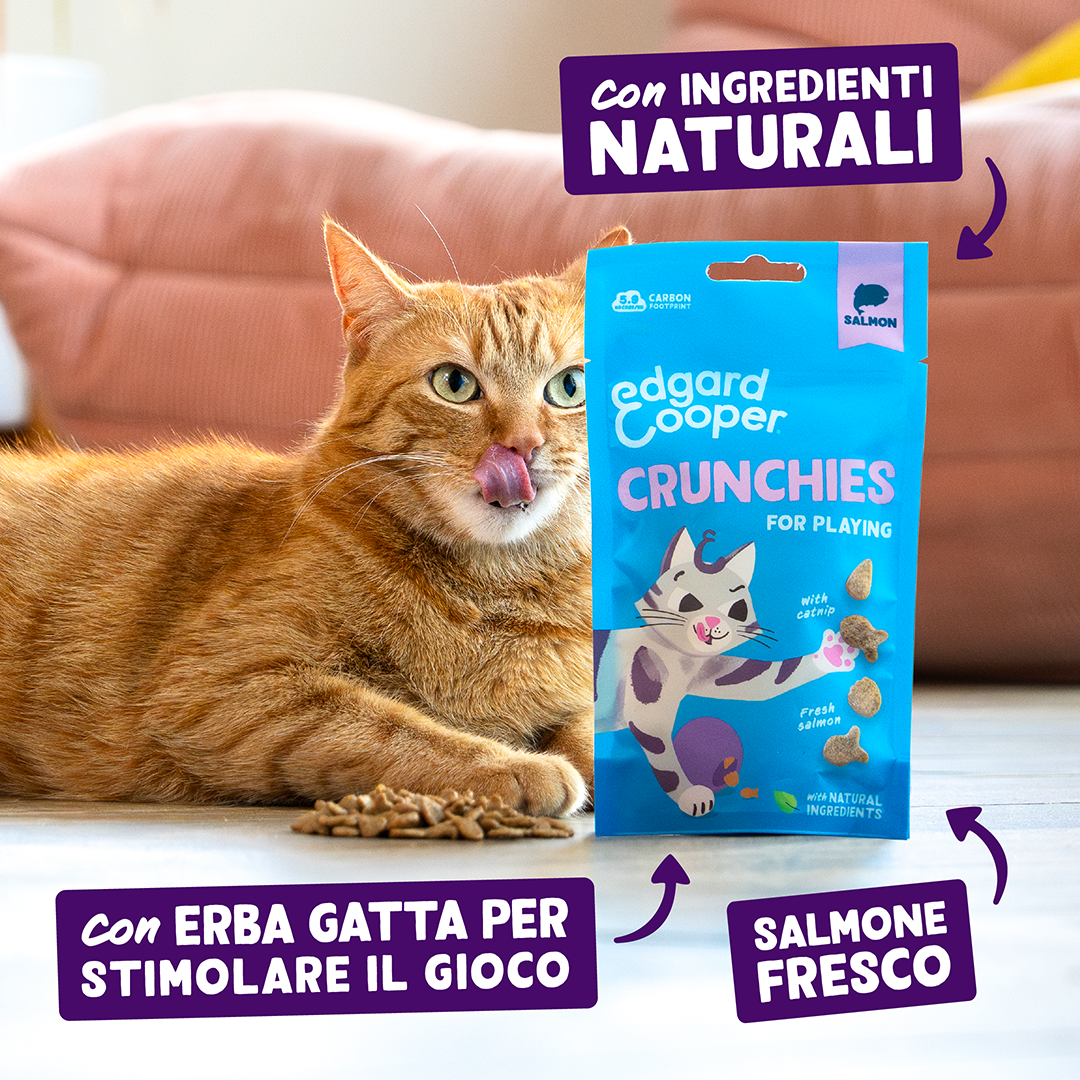 Ecomm Claims - Cat All Crunchies Salmon IT