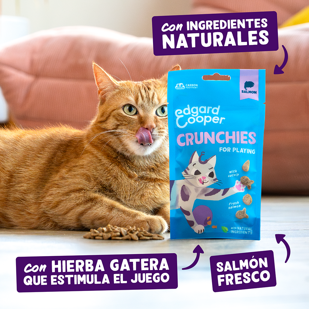 Ecomm Claims - Cat All Crunchies Salmon ES
