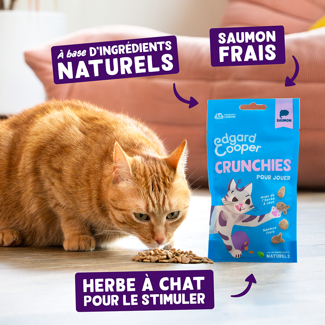Ecomm Claims - Cat All Crunchies Salmon FR