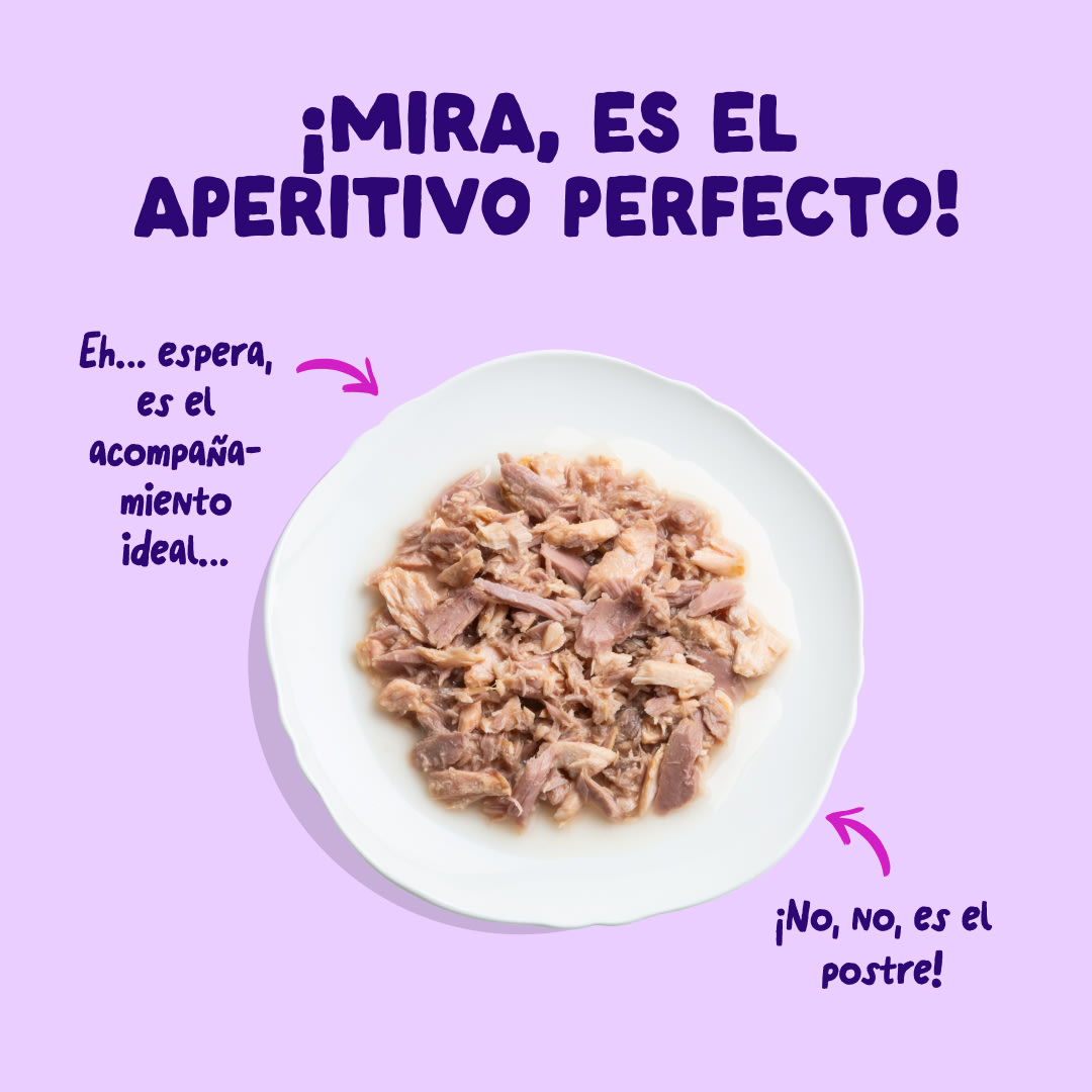 4 Cat-Fillets DTC ES SalmonTuna TopView