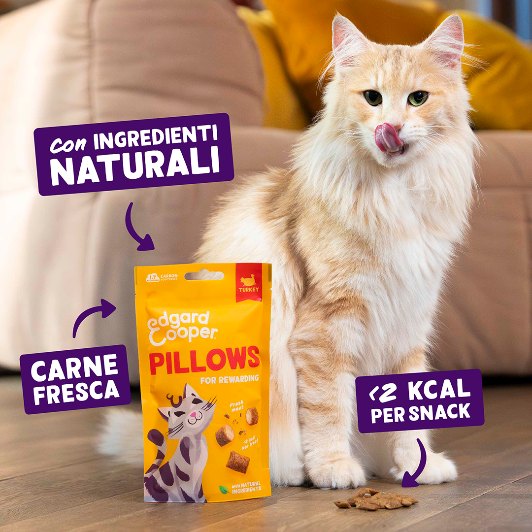 Ecomm Claims - Cat All Pillows Turkey IT