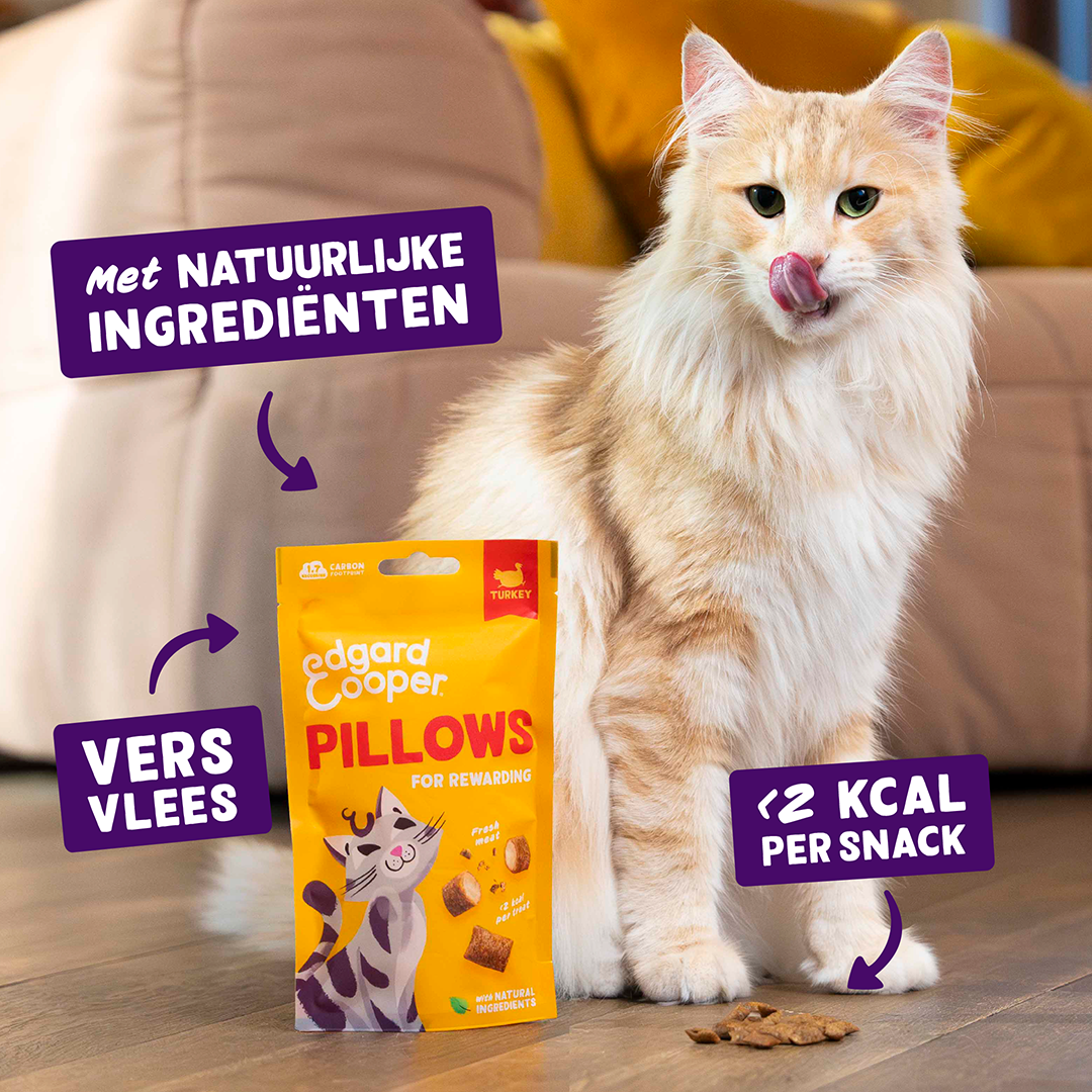Ecomm Claims - Cat All Pillows Turkey NL