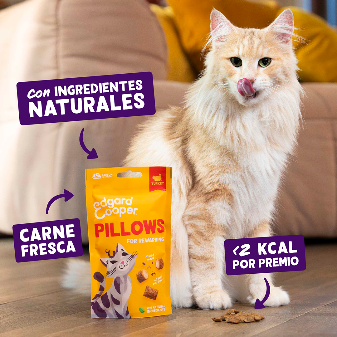 Ecomm Claims - Cat All Pillows Turkey ES