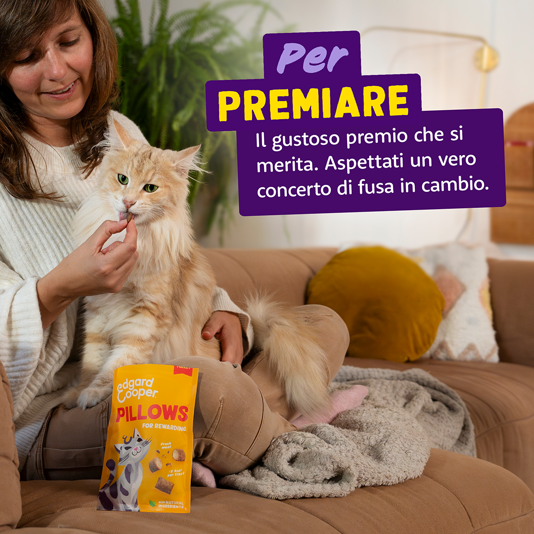 Ecomm Needs - Cat All Pillows Turkey IT